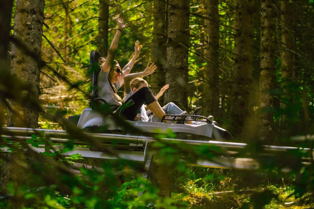 Luge 4 saisons - Les Gets